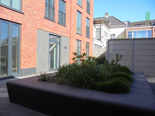 Binnentuin Juni 2024 5.JPG